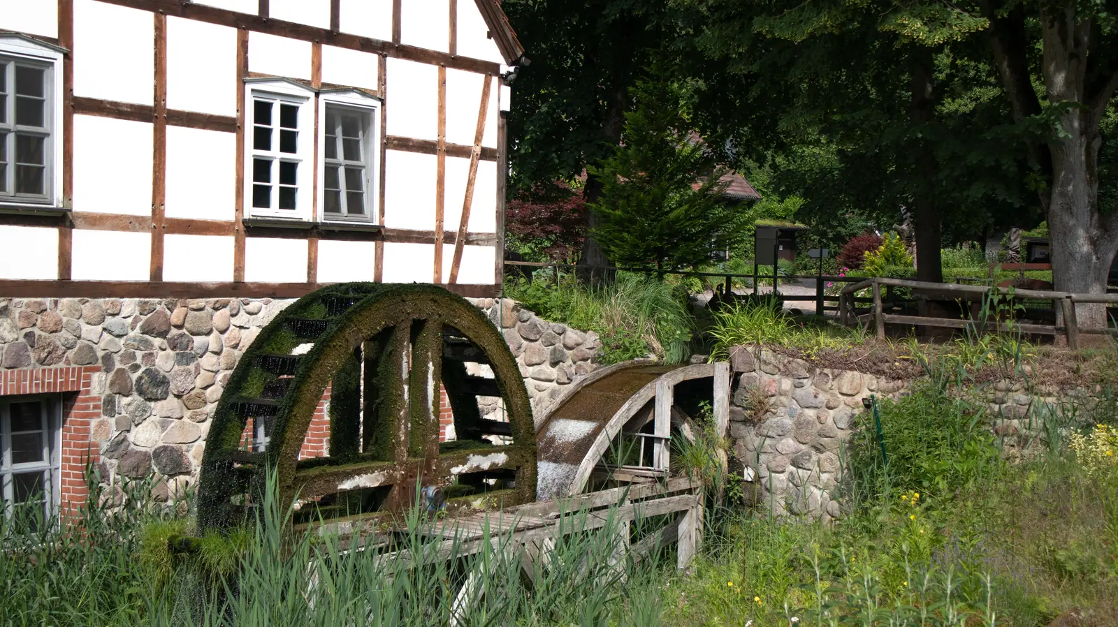 Mosbevokset møllehjul ved Boltenmühle ved siden af en bindingsværksfacade med kampestenssokkel, omgivet af træer og grøn vegetation langs bredden.
